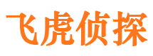 隆阳市侦探调查公司